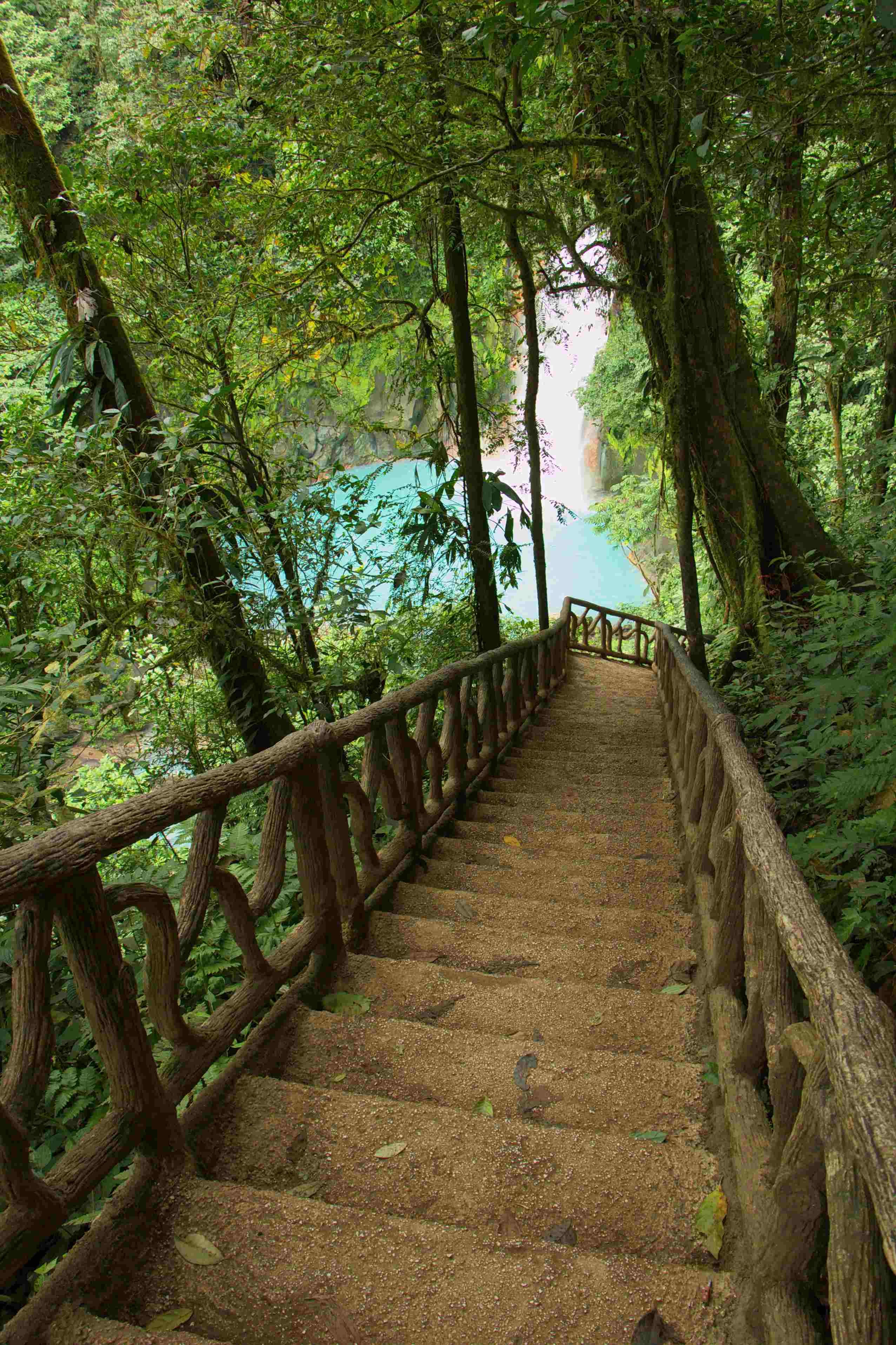 Aventure en famille au pays de l'or vert ! - Volcan Tenorio - Volcan Tenorio