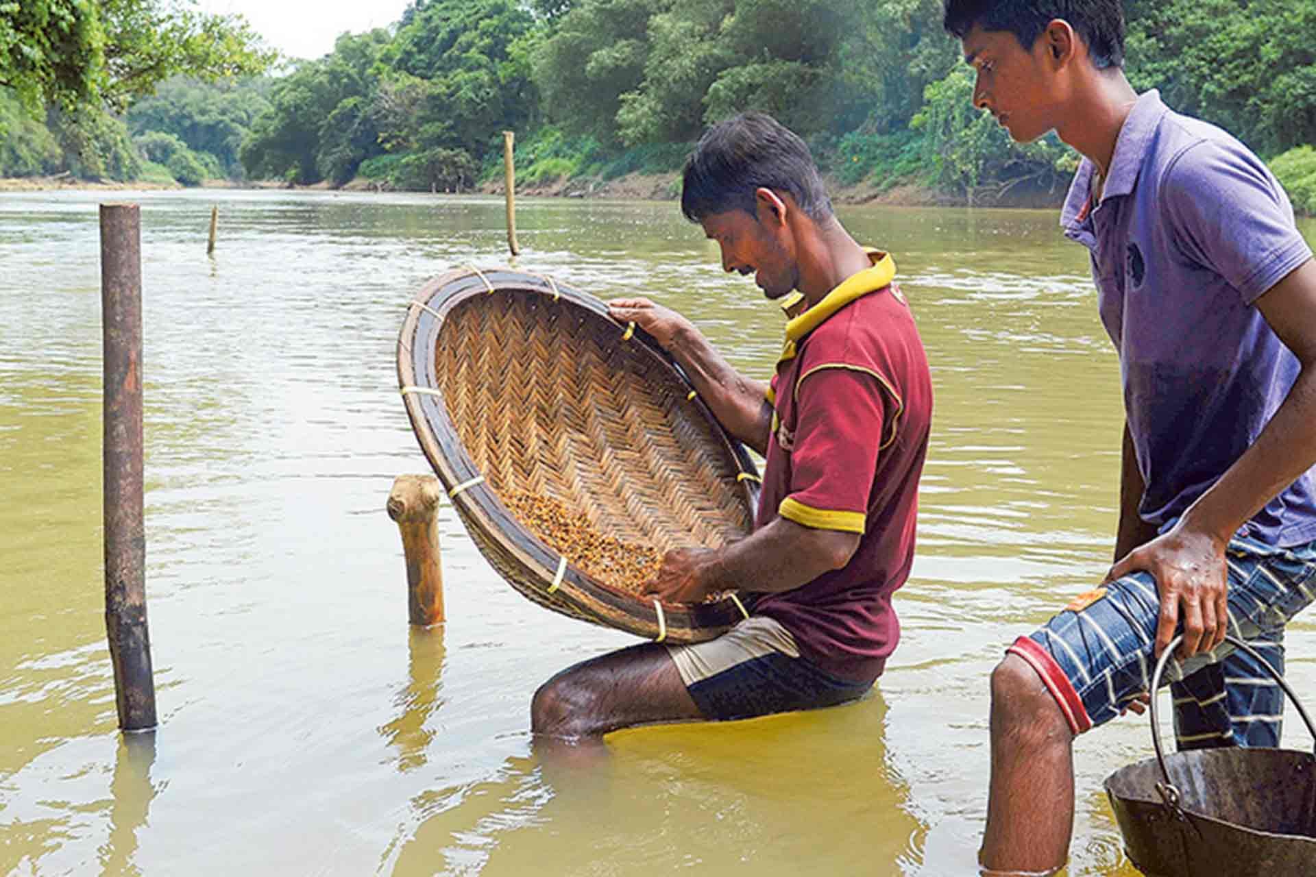 As pedras preciosas no Sri Lanka - Ao redor de Ratnapura - Autour de Ratnapura