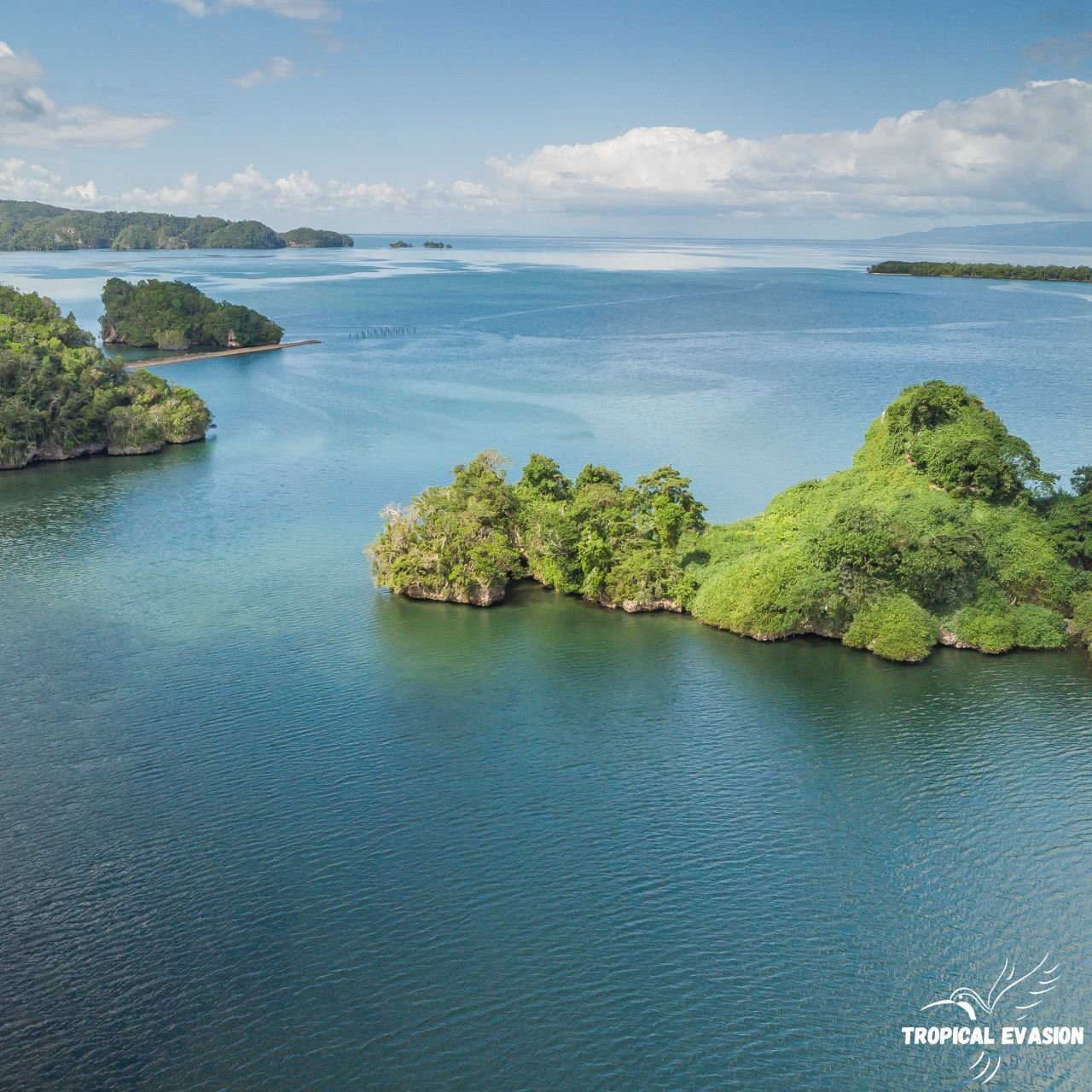 Bayahibe et Los Haitises - Visite privée du Parc National Los Haitises - Photo du jour