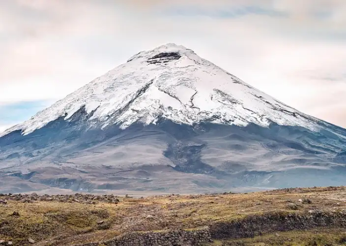 Cayambe Cóndor Express - Días 5 y 6: Ascensión al Cotopaxi - Photo du jour