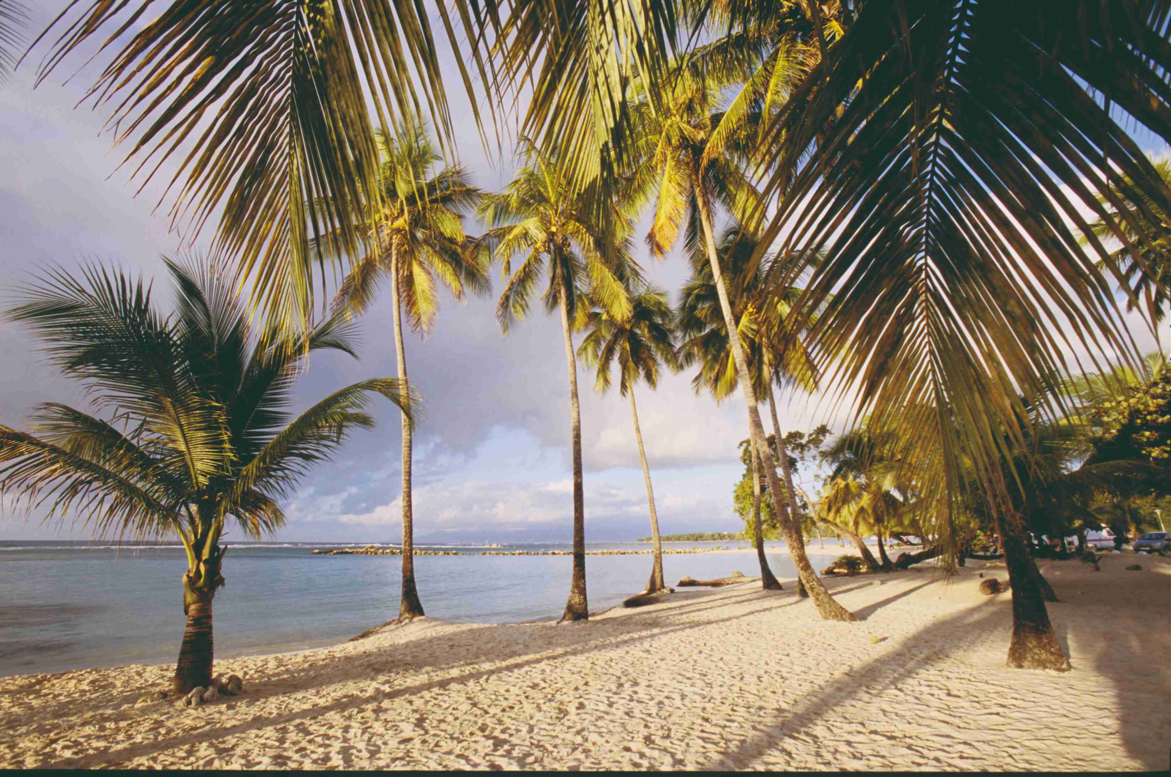 La Guadeloupe et ses îles en 9 jours - Coquillages et crustacés en Grande-Terre - Coquillages et crustacés en Grande Terre