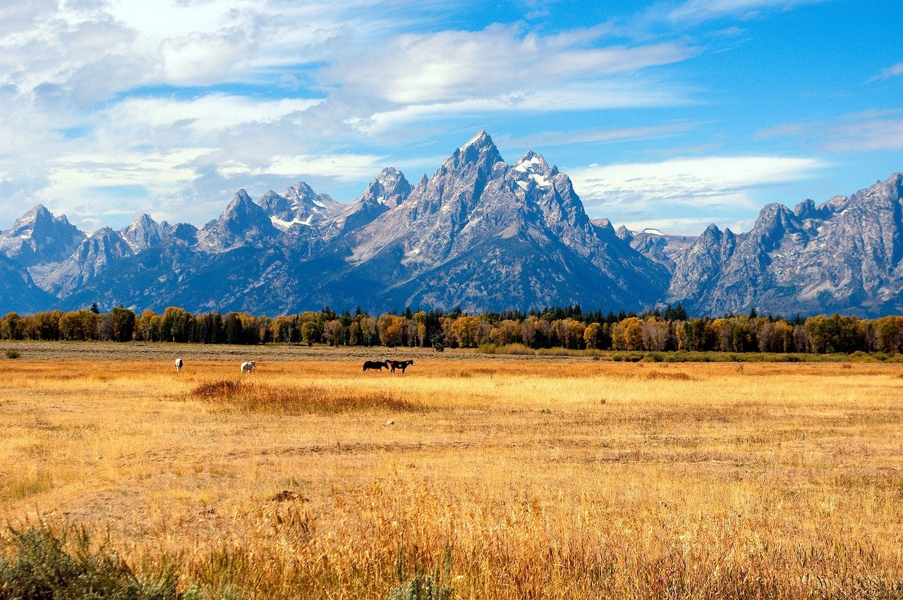 L'essentiel du Wyoming, du Dakota et du Colorado - Jackson et Grand Teton - Jackson et Grand Téton