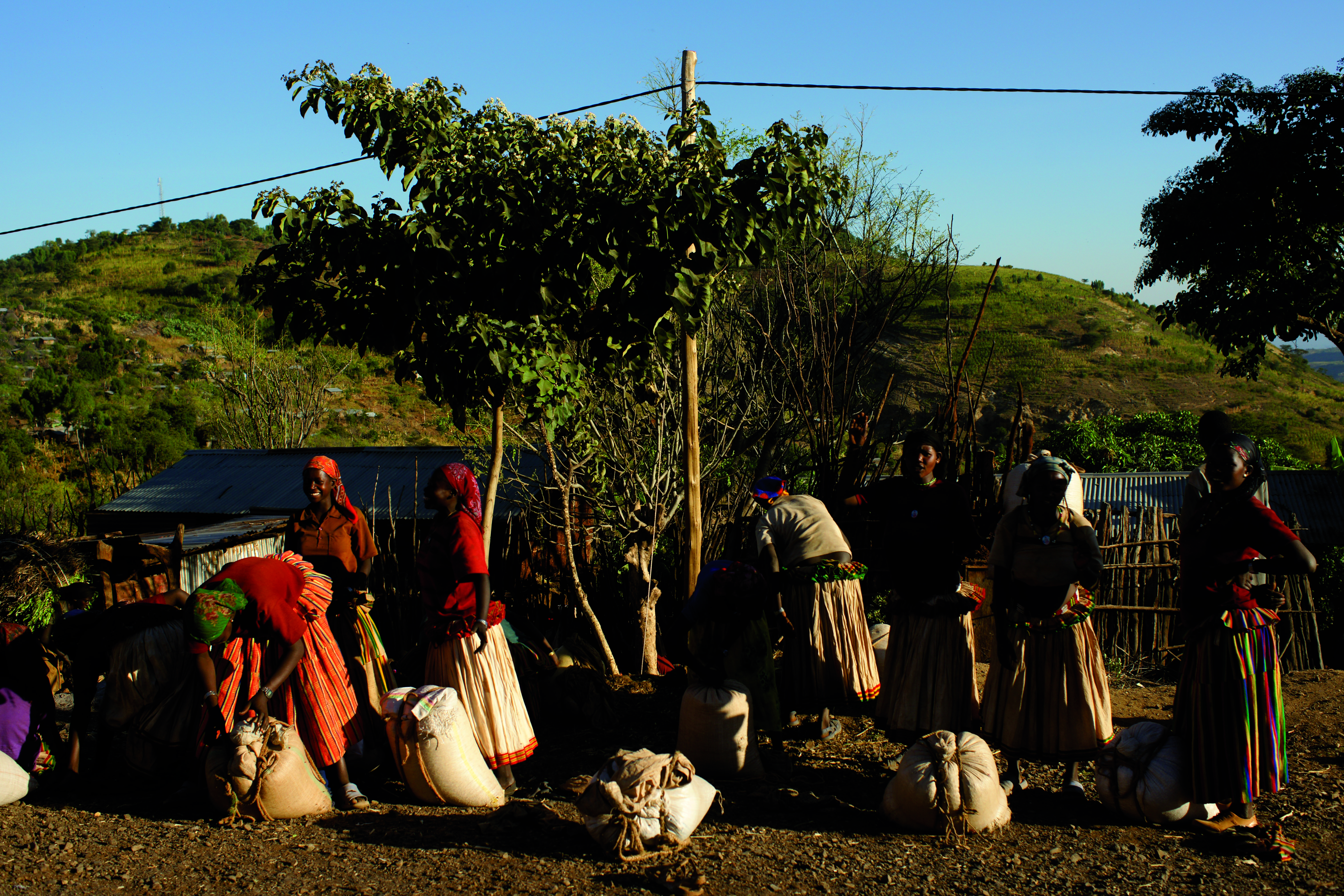 Tribus del Valle de Omo 7 Noches - 8 Días - Conduzca de Arba Minch a Jinka. - CONDUISEZ DE ARBA MINCH A JINKA