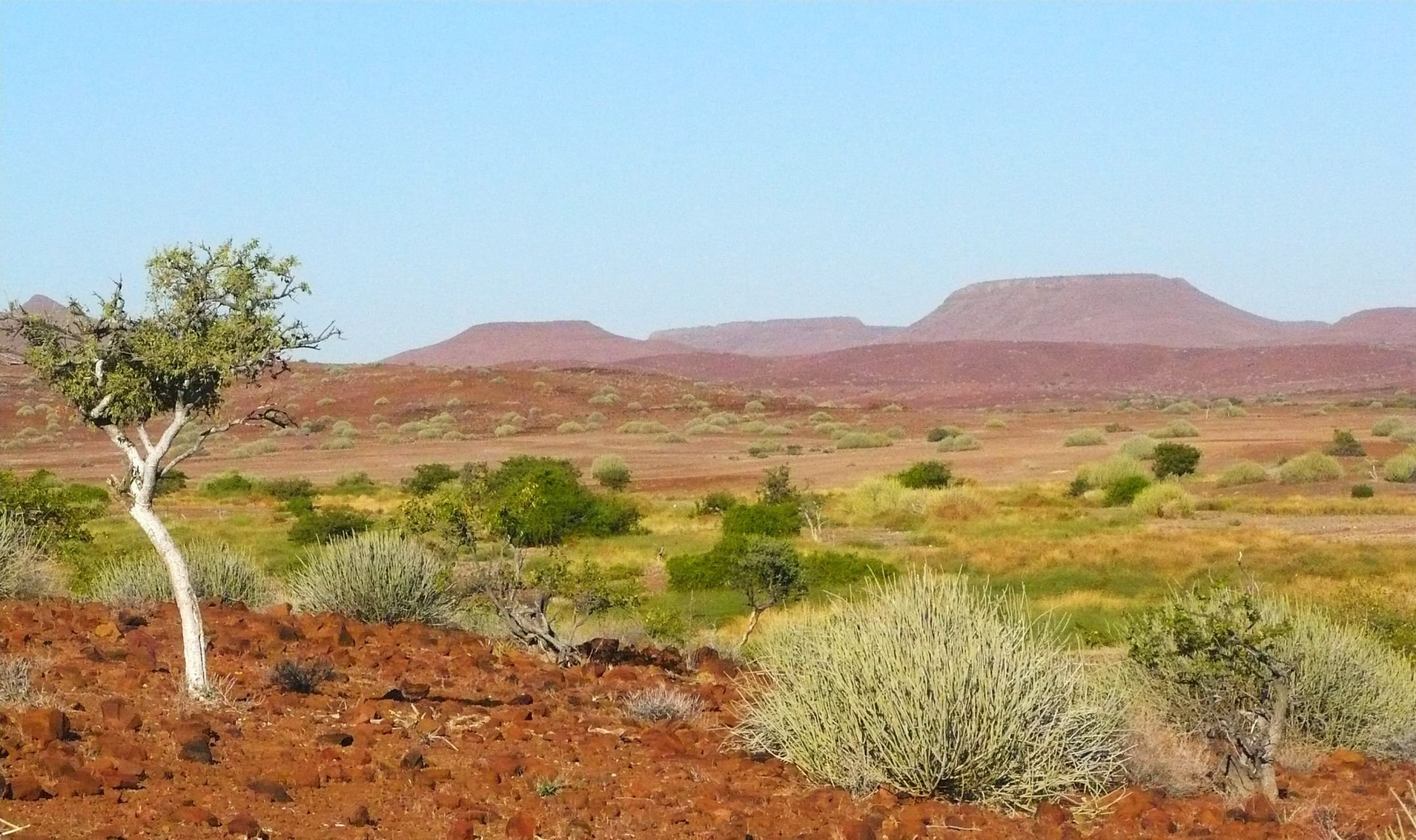 El gran Namib - Las cataratas Epupa - Opuwo - Sesfontein - Palmwag - Le chutes d'Epupa - Opuwo - Sesfontein - Palmwag