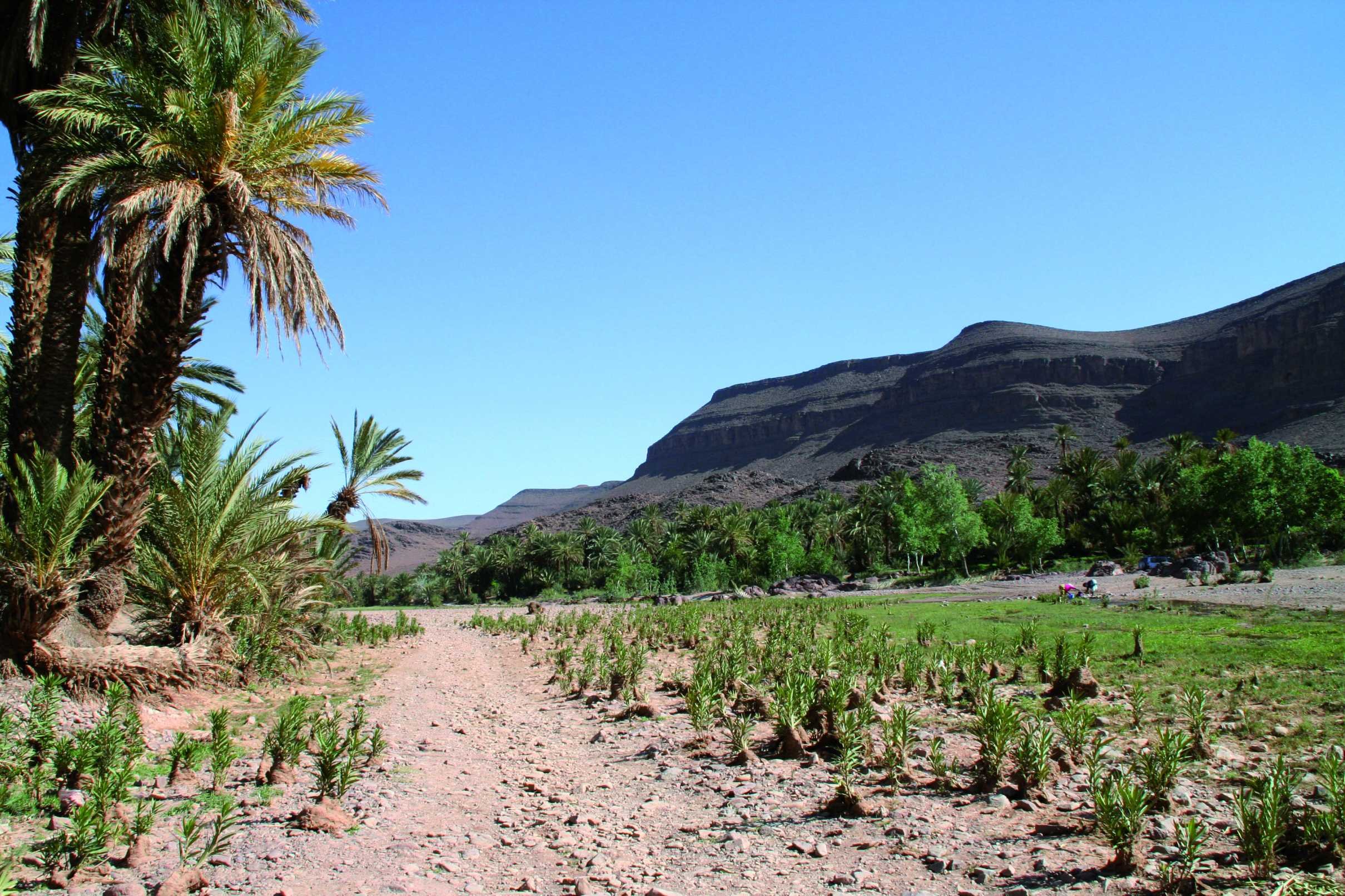 Honeymoon off the beaten path. - Lunar landscape for honeymoon. - Paysage lunaire pour lune de miel