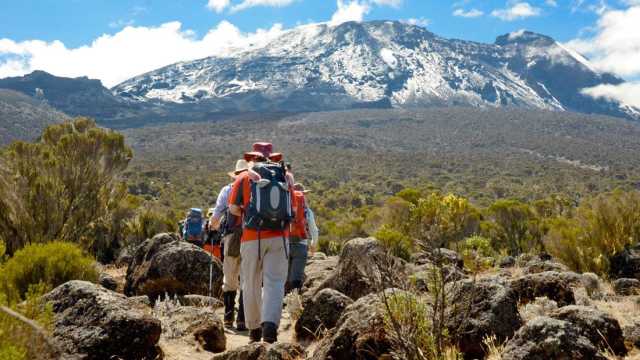 12-Day Combined Tour: Kilimanjaro Trek & Serengeti Park