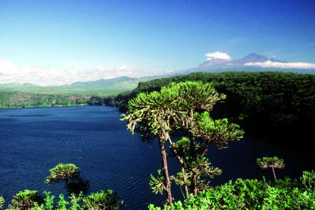 Kenias Tierwelt und landschaftliche Safari