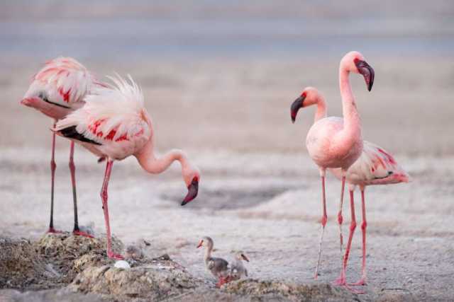 Immersione nella natura, nella cultura e un soggiorno balneare