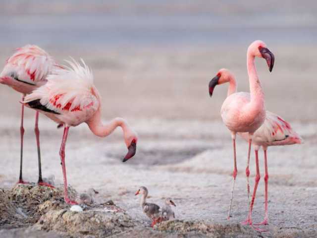 Immersion dans la nature, la culture et un séjour balnéaire