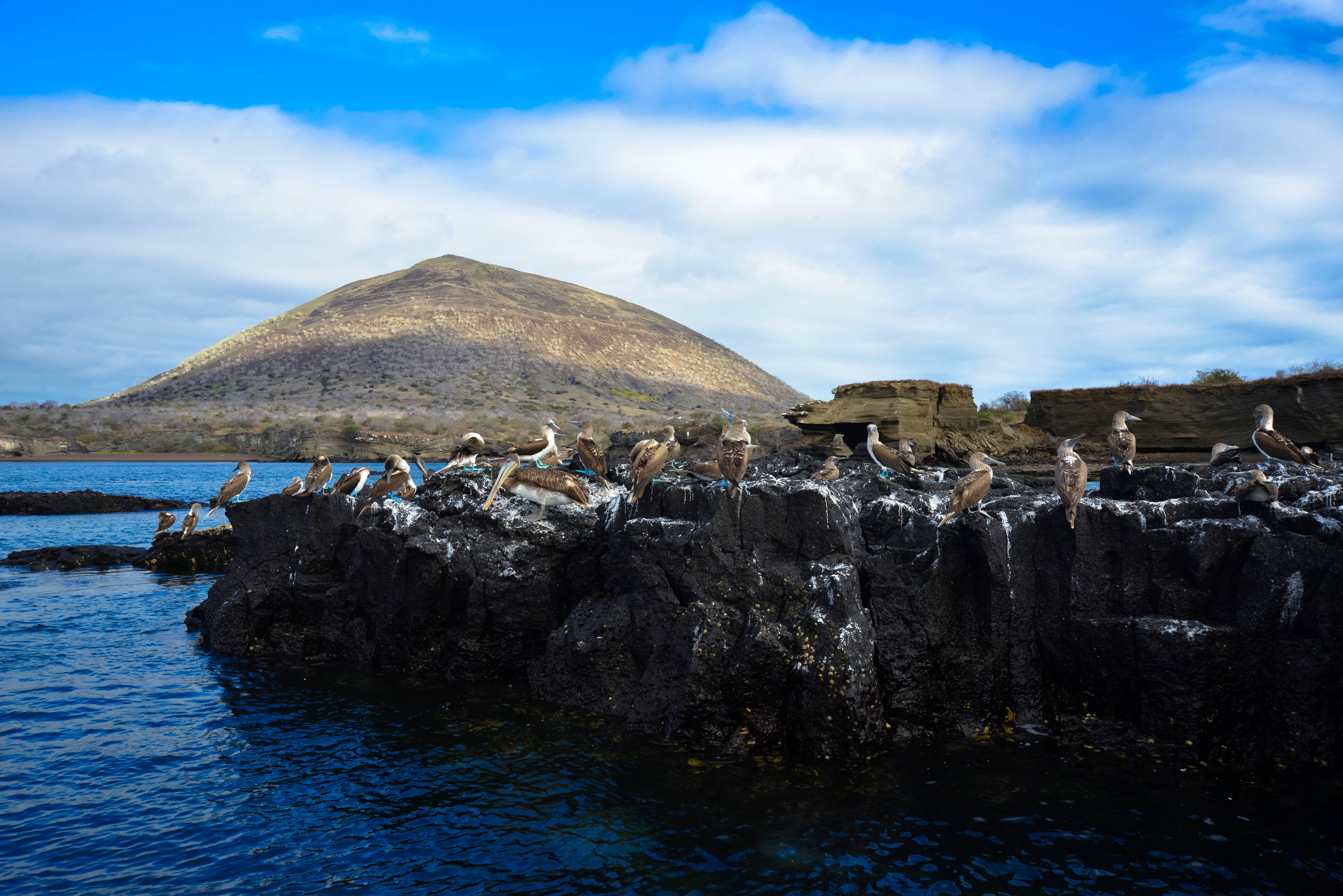 Galápagos-Kreuzfahrt an Bord der Golondrina - Santiago und Chinesischer Sombrero - Tagesfoto