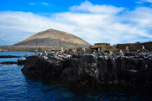 Galápagos-Kreuzfahrt an Bord der Golondrina