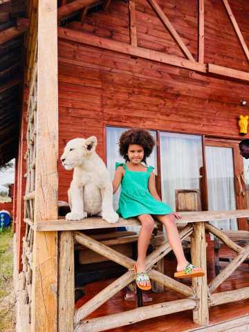 Animal Interaction at Zero Distance | Serval Wildlife Park