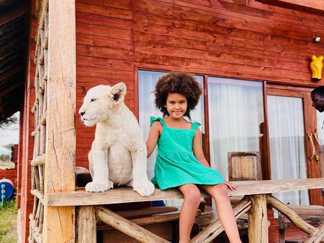 Interação com Animais a Zero Distância | Parque de Vida Selvagem Serval