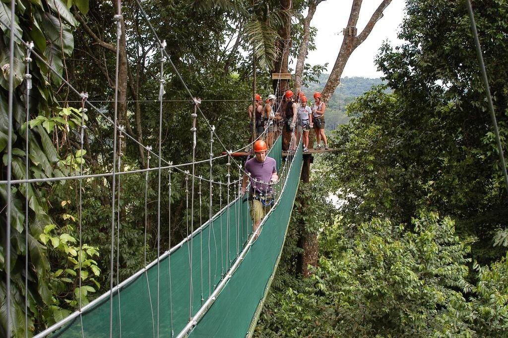 Von der Karibikküste bis zum Pazifik von Costa Rica. - Baumkronen und heiße Quellen - Canopée et sources chaudes