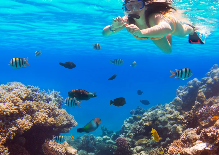 8 días en Bayahibe en la República Dominicana - Snorkel en la Isla Catalina en catamarán de lujo - Foto del día