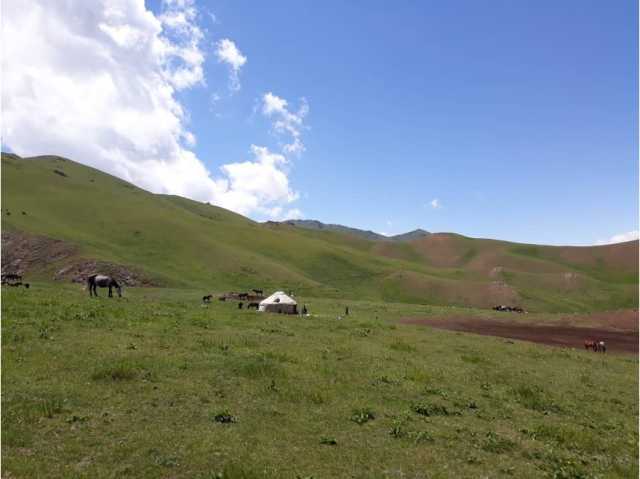 In the land of the nomads