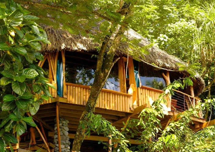 Erste Erfahrung in Französisch-Polynesien: der ideale Aufenthalt - Transfer nach Tahiti - tahiti