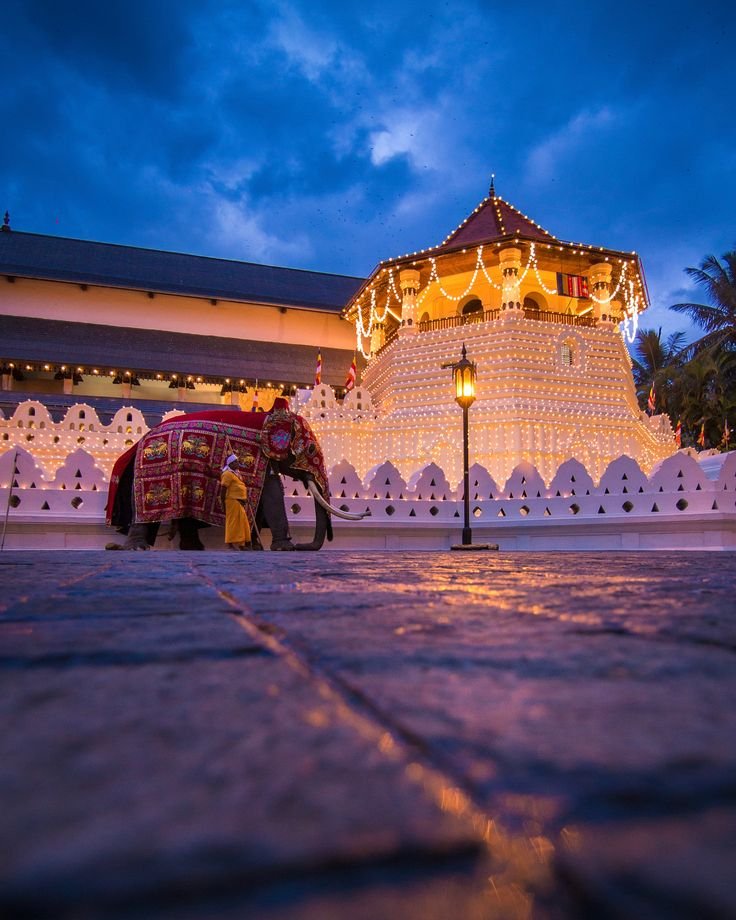 Esplora la Mitica Ceylon - Giardini di Peradeniya - Tempio del Dente - Città di Kandy - Foto del giorno