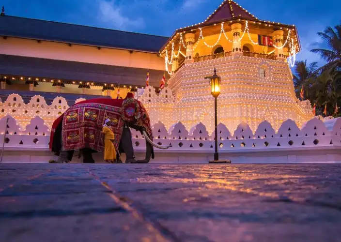 Esplora la Mitica Ceylon - Giardini di Peradeniya - Tempio del Dente - Città di Kandy - Foto del giorno