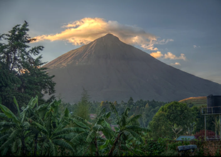 4-tägige Gorilla-Trekking-Tour im Mt. Mgahinga Nationalpark, Uganda - Morgendliche Gorilla-Trekkingtour und Transfer zum Lake Bunyonyi - Mt Muhavura