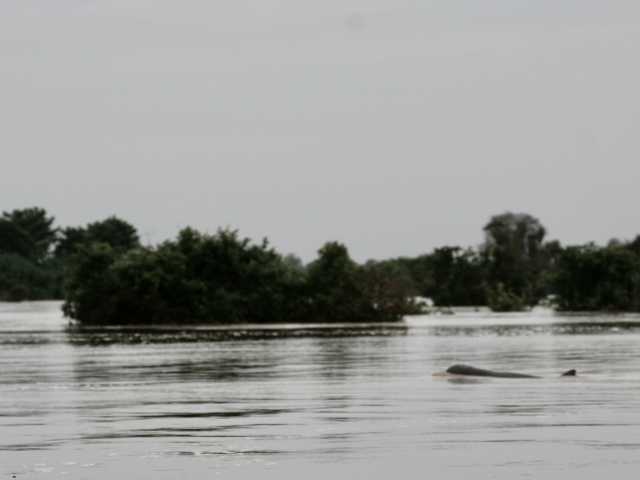 The loop around the lake + Kratie (dolphins) + Banteay Chmar