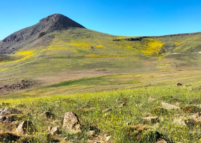Trek ed escursionismo al Jebel Siroua – 8 giorni - Iferd Magous / Ascensione Jebel Siroua/Tagragra (2400 m) - Foto del giorno