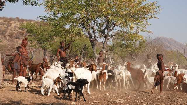 Die Flüsse Namibias