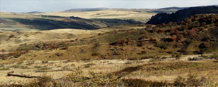 Magie de la route australe, 12 jours au bout du monde. - Coyhaique – Vol Balmaceda / Santiago - Coyhaique –  Vol Balmaceda / Santiago