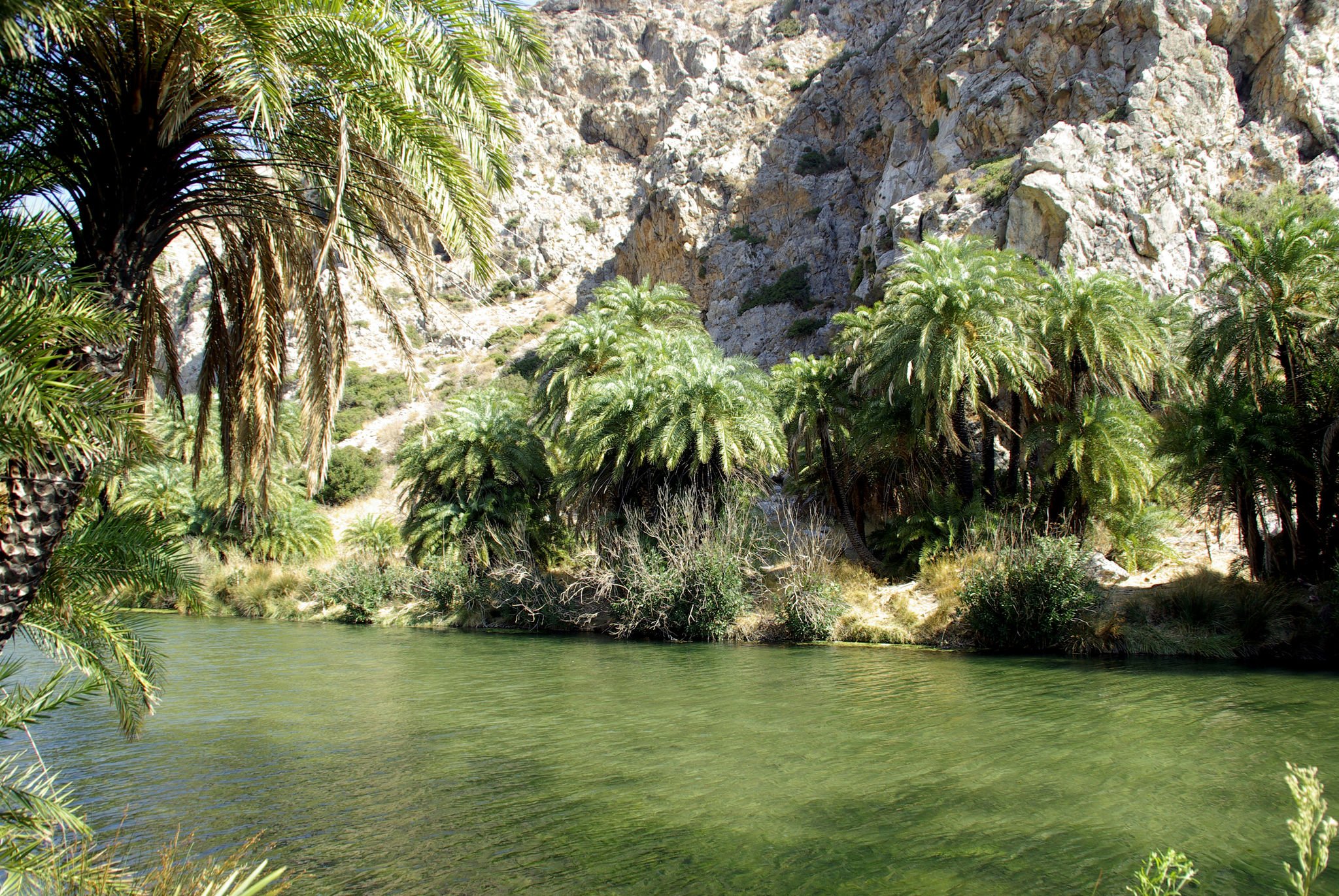 Kreta: eine Woche Kultur und Lebensart auf kretische Art - Preveli : Strand, Fluss und Palmenhain - Tagesfoto
