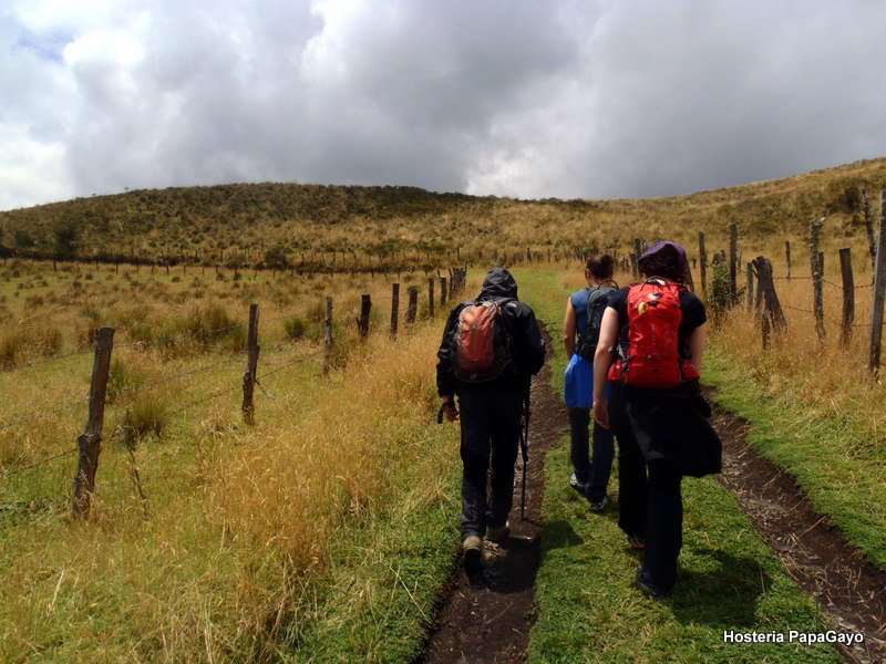 Cotopaxi Lama Express - Pasochoa - Photo of the day