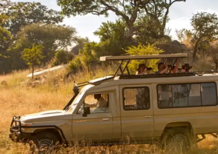 Safari di 3 giorni: Serengeti e Cratere di Ngorongoro (Esperienza Big Five) - Ngorongoro - Foto del giorno