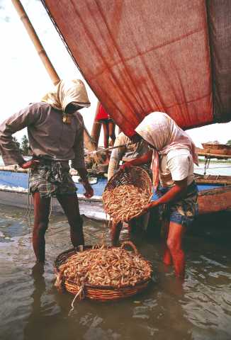 Wellnessverblijf, ontspanning en cultuur
