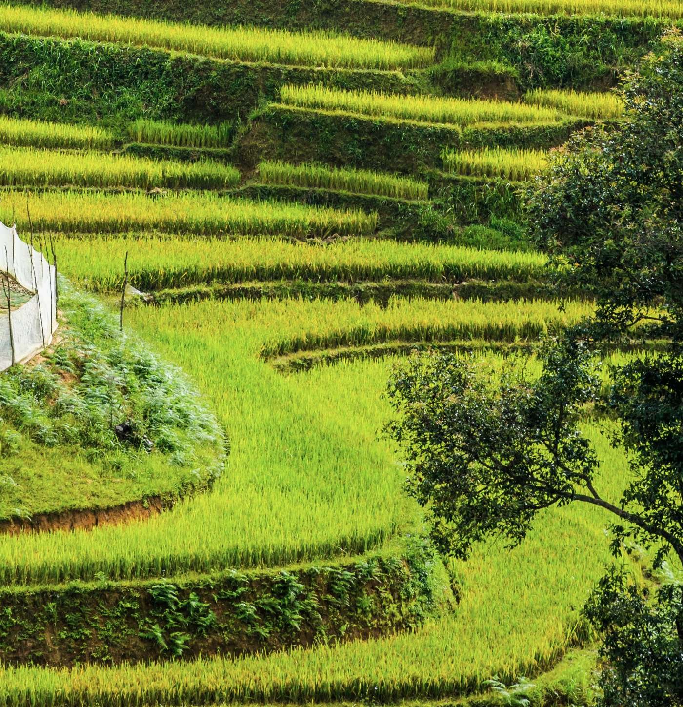 Découverte ludique du Vietnam en famille - Hanoi - Trek - Mai Chau - Hanoi - Trek - Mai Chau