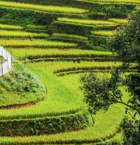 Scoperta ludica del Vietnam in famiglia