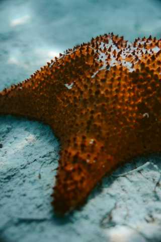 Bayahibe e Los Haitises