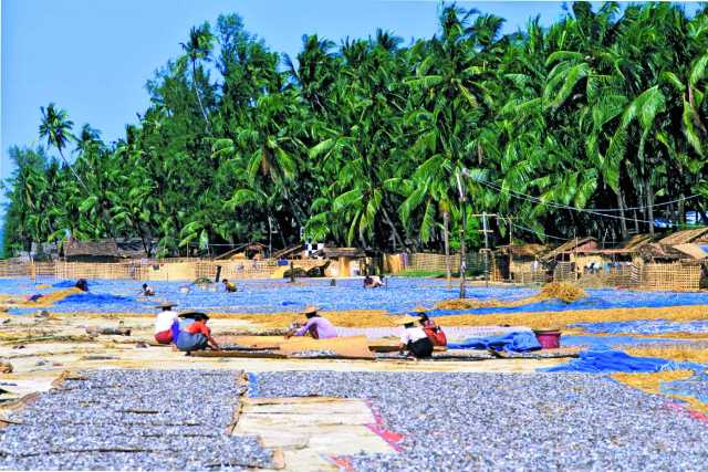 Verloren auf den Mergui-Inseln
