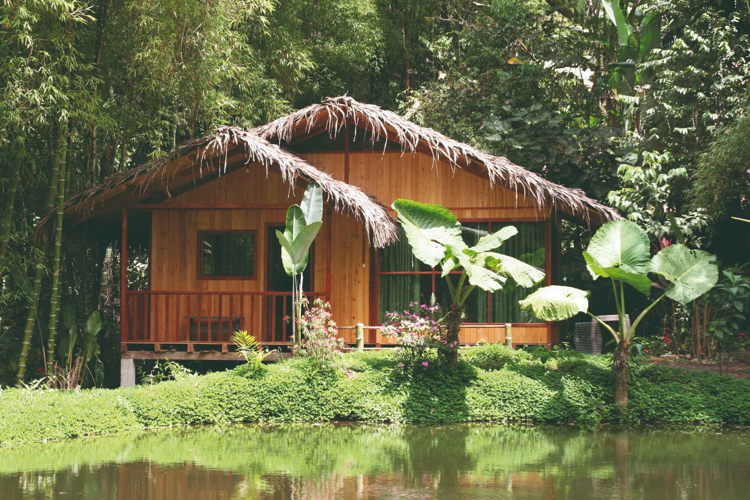 Fauna y flora de Ecuador - Mindo y sus tesoros - Mindo et ses trésors