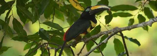 Journey to the Middle of the World - 16D