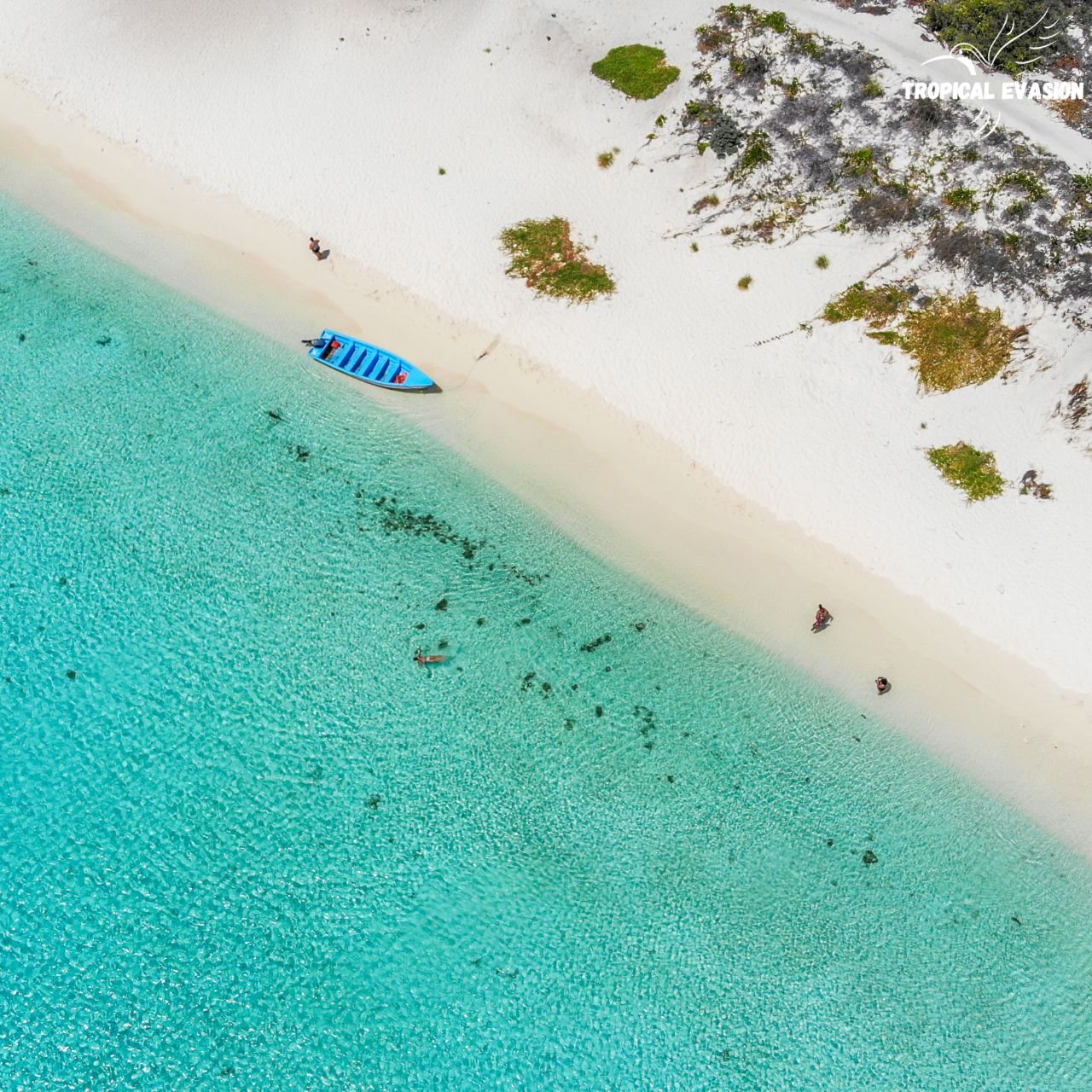Alla scoperta del Sud Dominicano - Escursione privata a Bahía de las Águilas - Foto del giorno