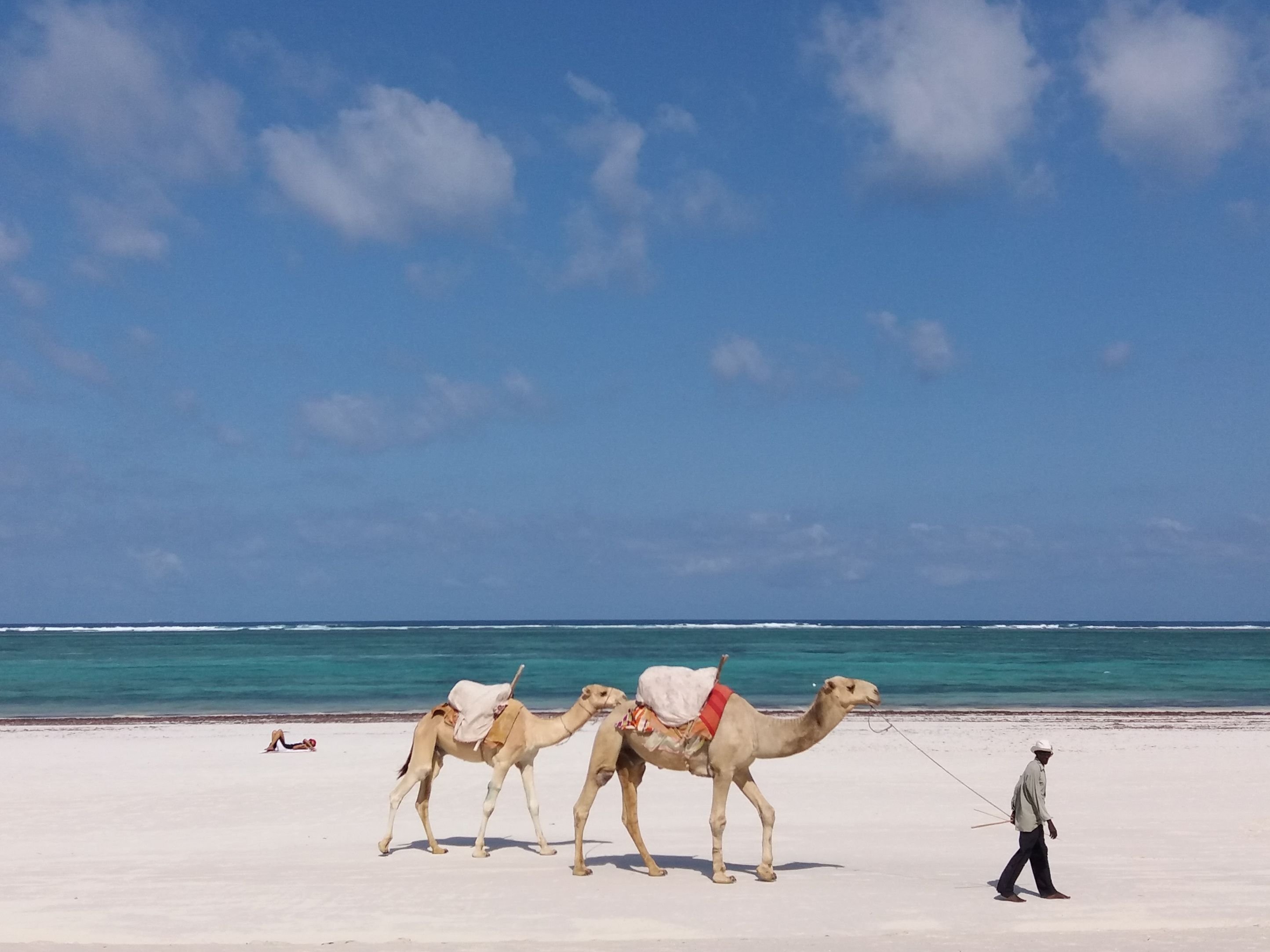 Het beste van Kenia: een huwelijksreis in de wilde natuur - Diani-strand - Plage Diani