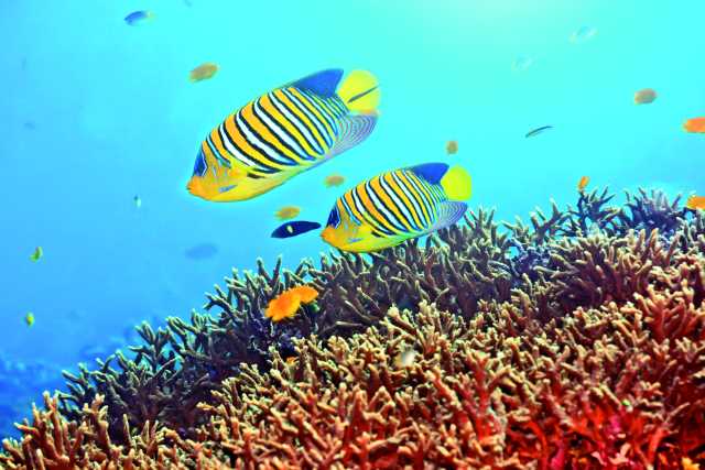 Eine Reise, die man nicht verpassen sollte!