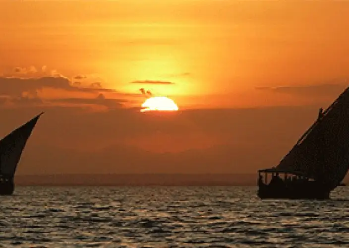 Esencia de Kenia Safari - Diani – Aventuras Marinas - Foto del día