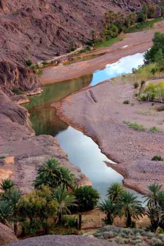 Sable y Oasis – Road trip al corazón del desierto marroquí