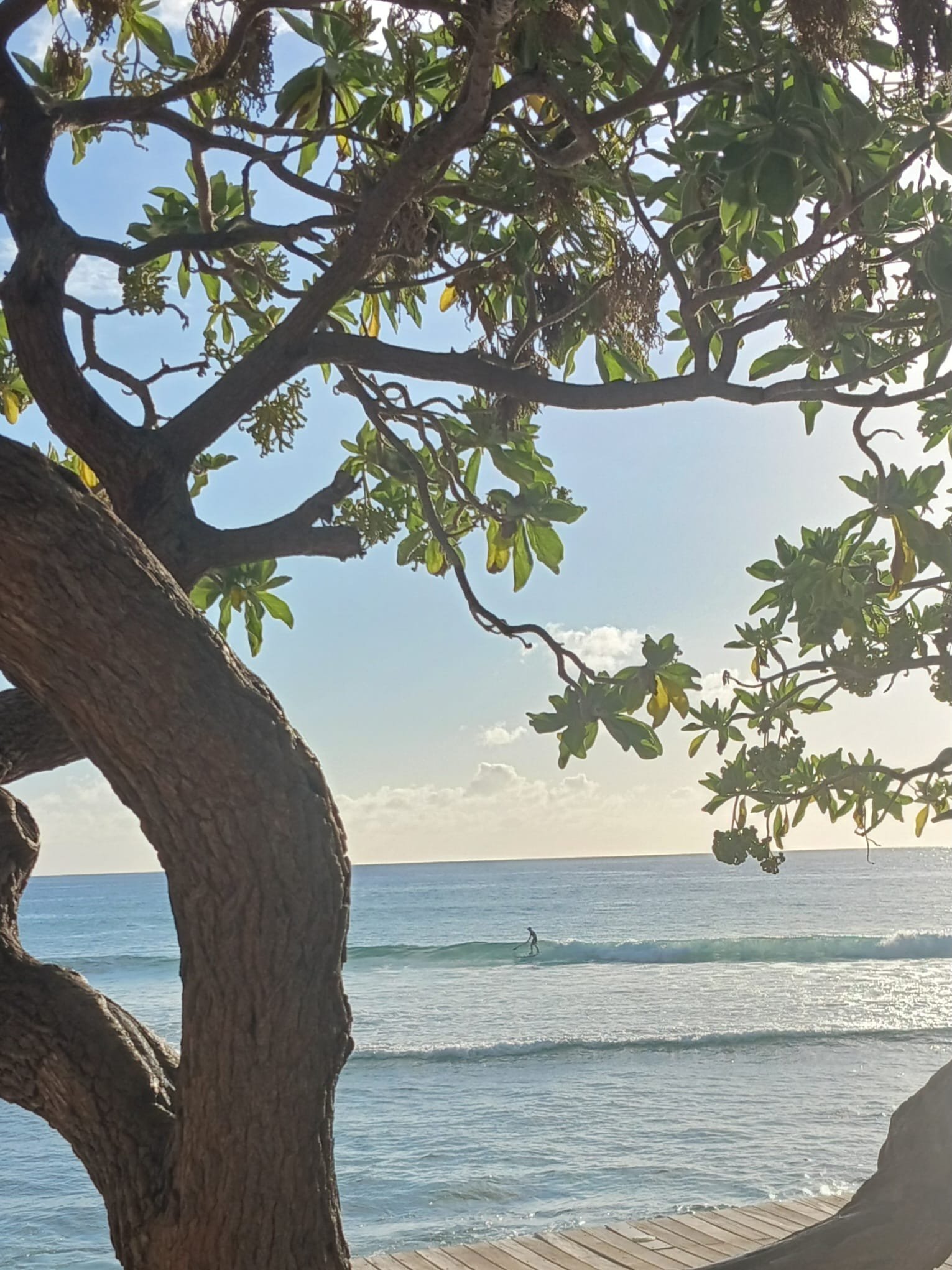 Soggiorno intimo e riservato a La Réunion - Ultimi istanti, tra cielo e mare - Foto del giorno