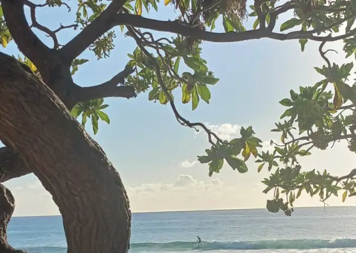 Soggiorno intimo e riservato a La Réunion - Ultimi istanti, tra cielo e mare - Foto del giorno
