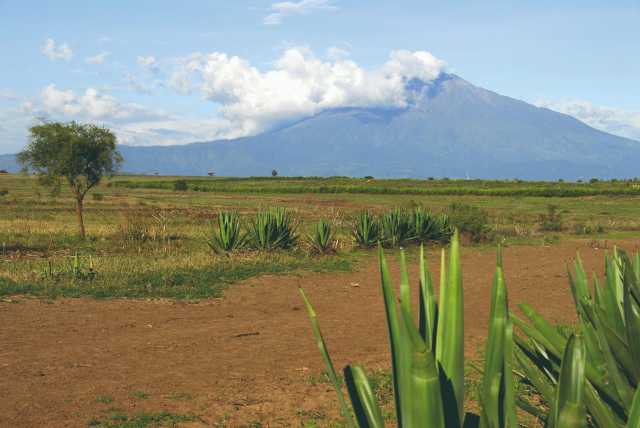 Les incontournables de la Tanzanie