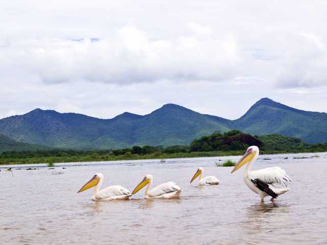 Tribus del Valle de Omo 7 Noches - 8 Días