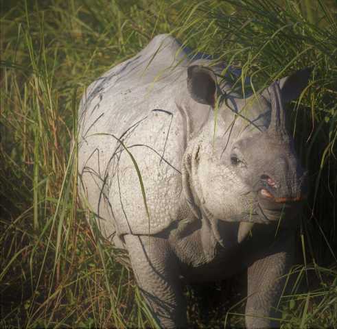 Trip to Kerala and Karnataka