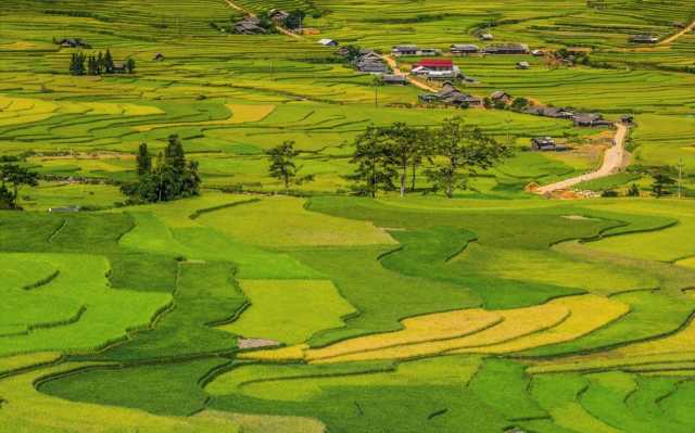 Le risaie terrazzate nel nord-ovest del Vietnam in 7 giorni e 6 notti.