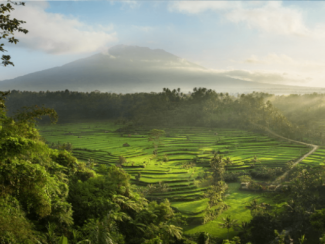 Culture balinaise et détente à Nusa Lembongan – 16 jours / 15 nuits